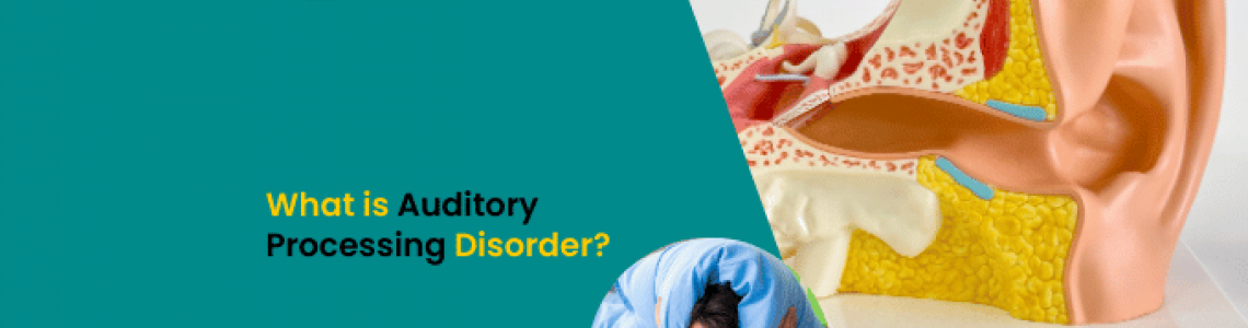What is Auditory Processing Disorder?