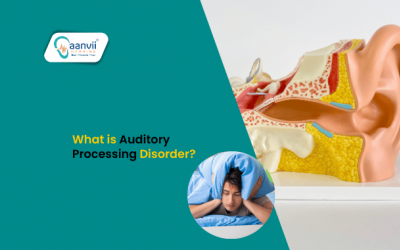 What is Auditory Processing Disorder?