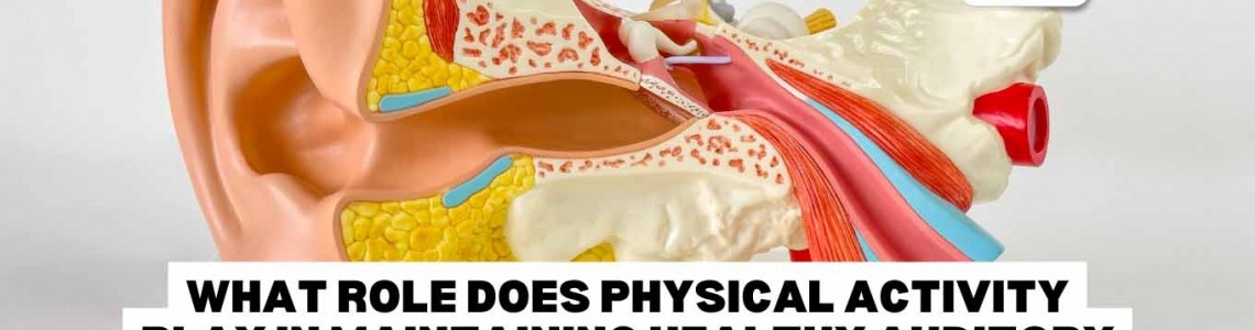 What Role Does Physical Activity Play in Maintaining Healthy Auditory Function?