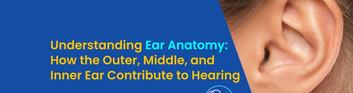 Understanding Ear Anatomy: How the Outer, Middle, and Inner Ear Contribute to Hearing