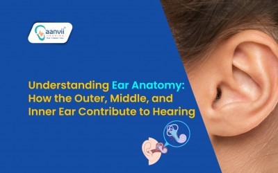 Understanding Ear Anatomy: How the Outer, Middle, and Inner Ear Contribute to Hearing