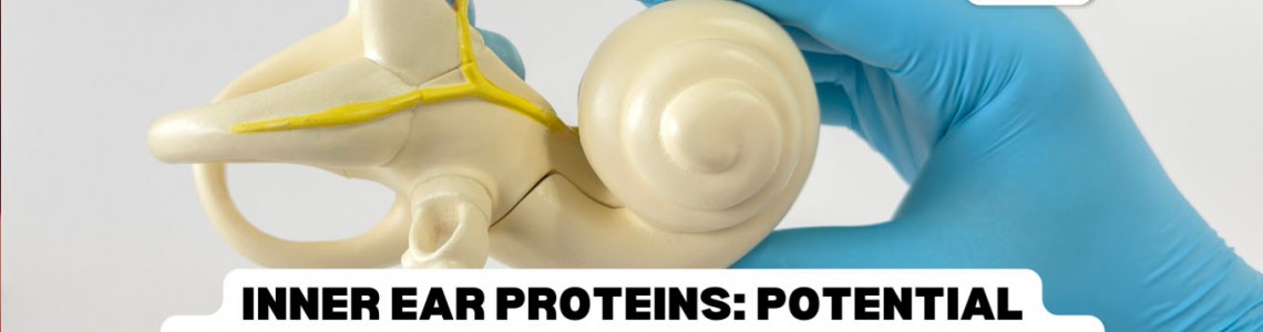 Inner Ear Proteins: Potential Repair and Renewal for Hair Cells