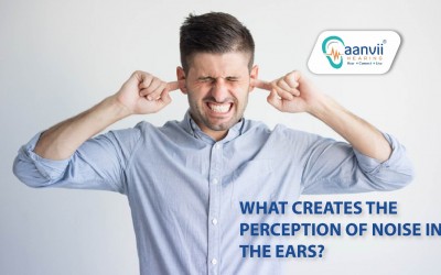 What Creates the Perception of Noise in the Ears?