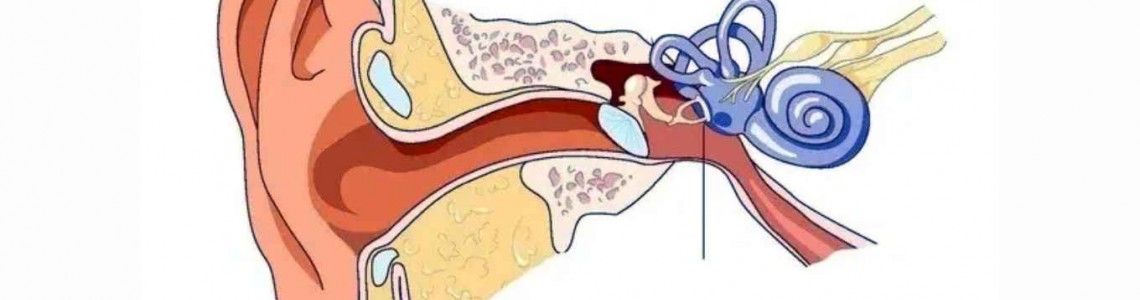 Understanding Mixed Hearing Loss: A Comprehensive Guide
