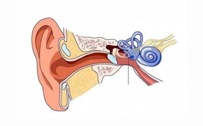 Understanding Mixed Hearing Loss: A Comprehensive Guide