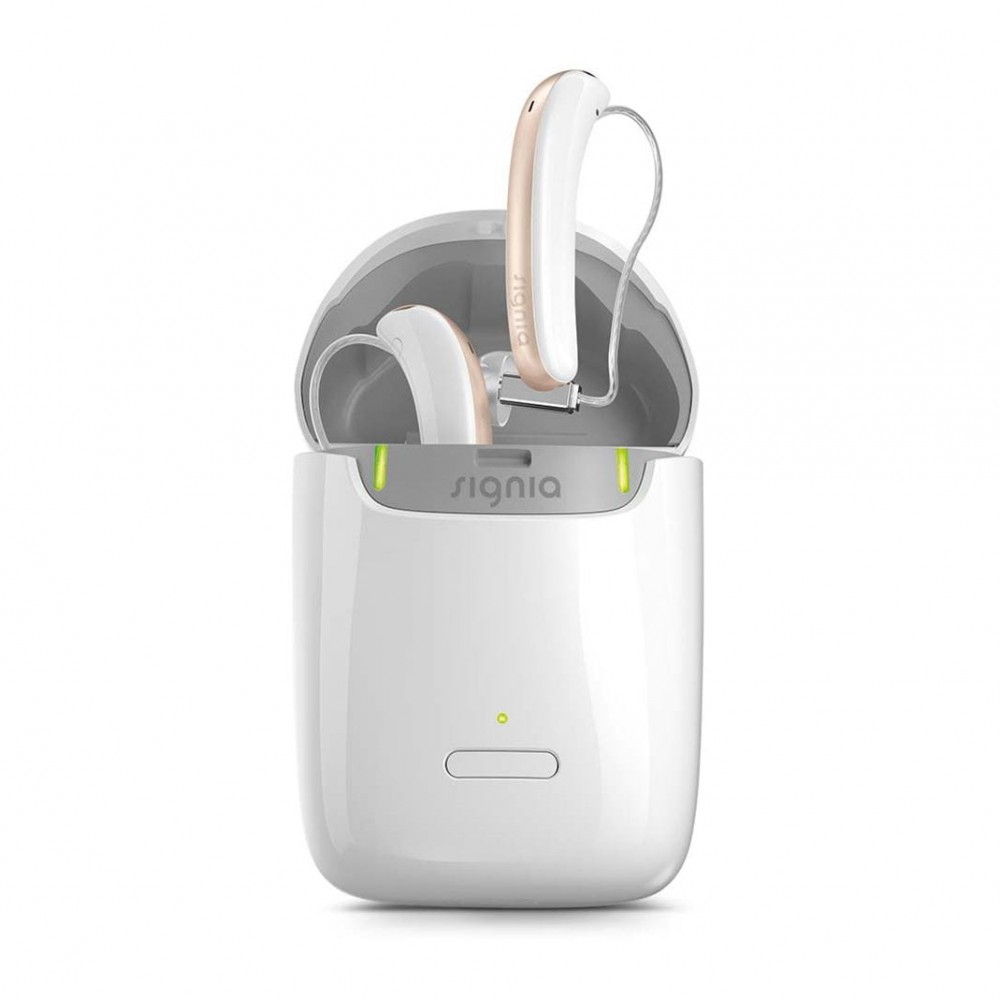 Styletto IX Charger Case